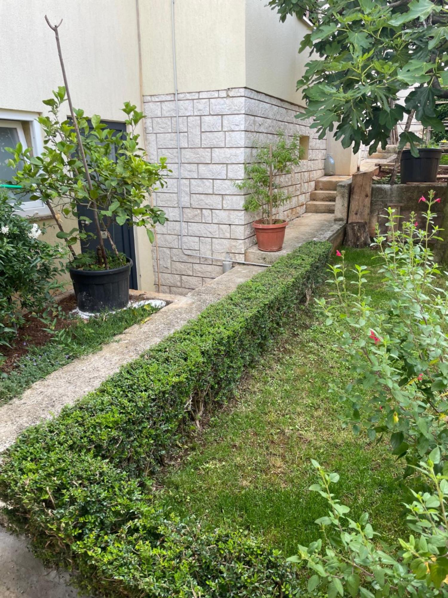 Apartmani Darko Rovinj Kültér fotó